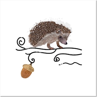 Hedge hog white Posters and Art